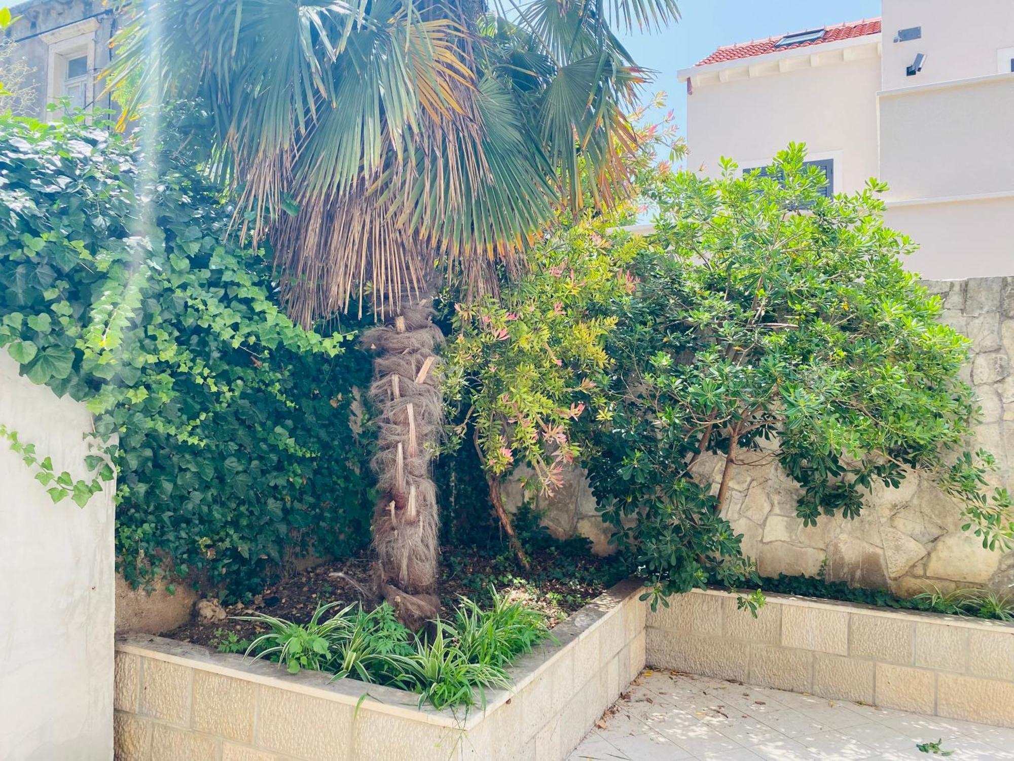 Pafi Apartment Dubrovnik Eksteriør bilde